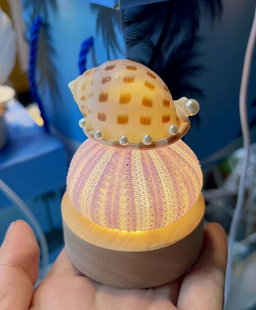 厦门海边特色伴手礼儿童原创手作天然海胆夜灯小朋友小众礼物送礼