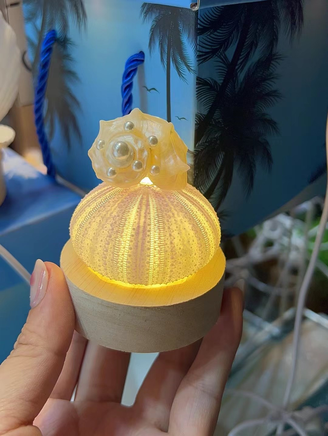 威海北海大连特色伴手礼儿童原创手作天然海胆海螺夜灯小朋友礼物