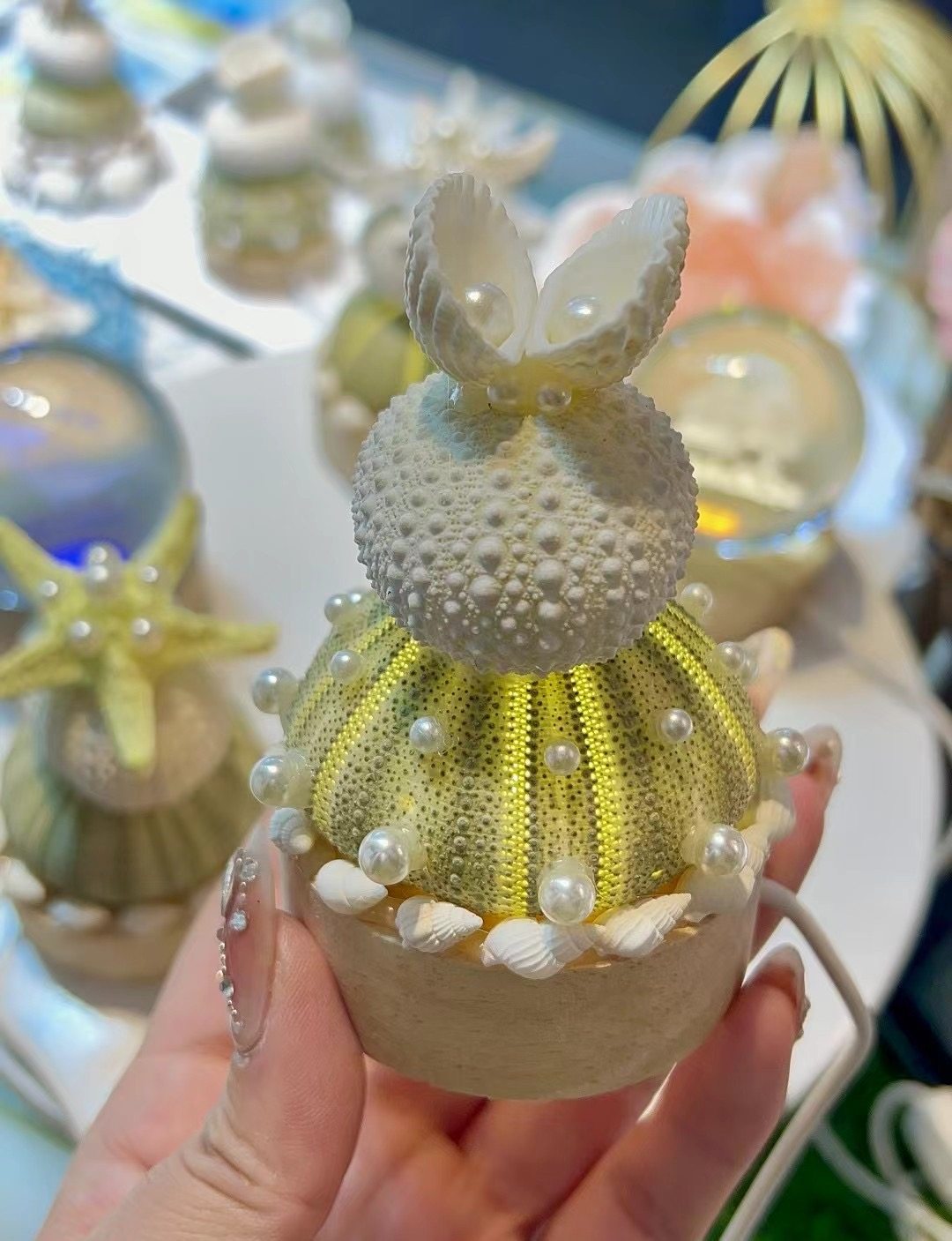 秦皇岛海边特色伴手礼原创手作天然海胆海螺珍珠贝壳氛围灯礼物