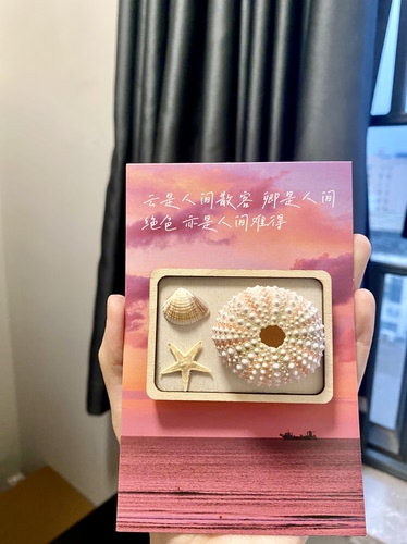 海南三亚纯手工冰箱贴海胆海星贝壳骨螺旅游文创纪念品创意伴手礼