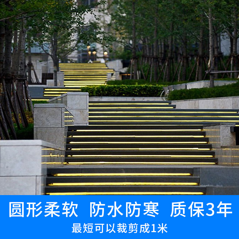 led灯带 24V2835 柔性灯带6*12红绿蓝粉紫金橙红彩皮灯条14mm金黄