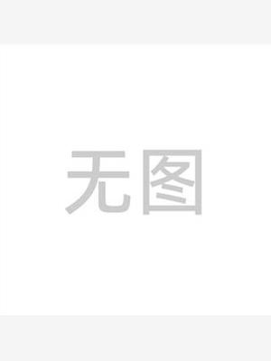 砂带机915平面立式多功能木工金属DIY抛光机小型砂带机 26省包邮