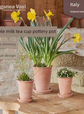 红月Ev陶罐进口简易奶茶杯透气性深耕高泥Euganeavasi绿色植物花