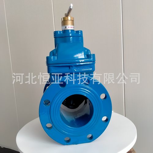 防盗阀FZ45X锁闭软密封闸阀法兰低压阀球墨铸铁加密锁闭闸阀