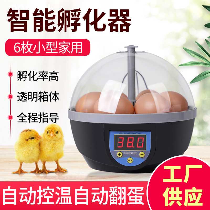 家用孵化器小鸡苗鸭鹅孵化机智能孵蛋器6枚鸡蛋迷你小型孵化器