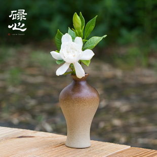 碌心 迷你花器美人瓶插花器 水培植物花瓶铜钱草绿萝容器客厅花插