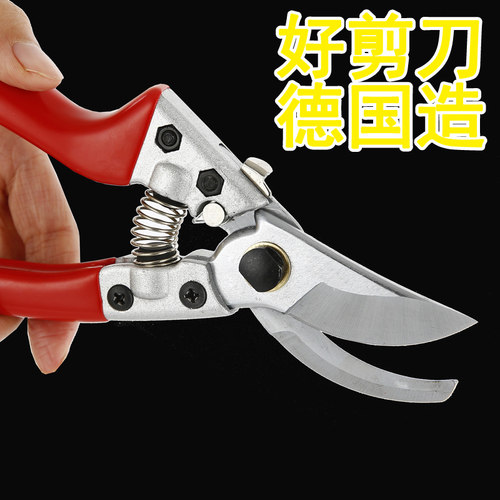 剪枝剪刀果树德国家用修枝花剪修树枝粗枝剪强力园林园艺剪刀
