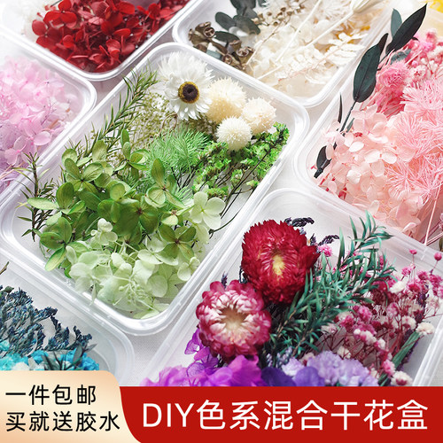 混装干花diy材料包永生花