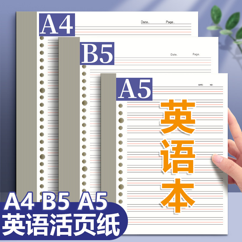 英语活页本替芯双面四线三格内页图片