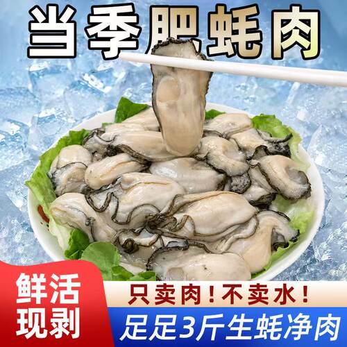 潮汕新鲜生蚝肉鲜活现剥刺身级
