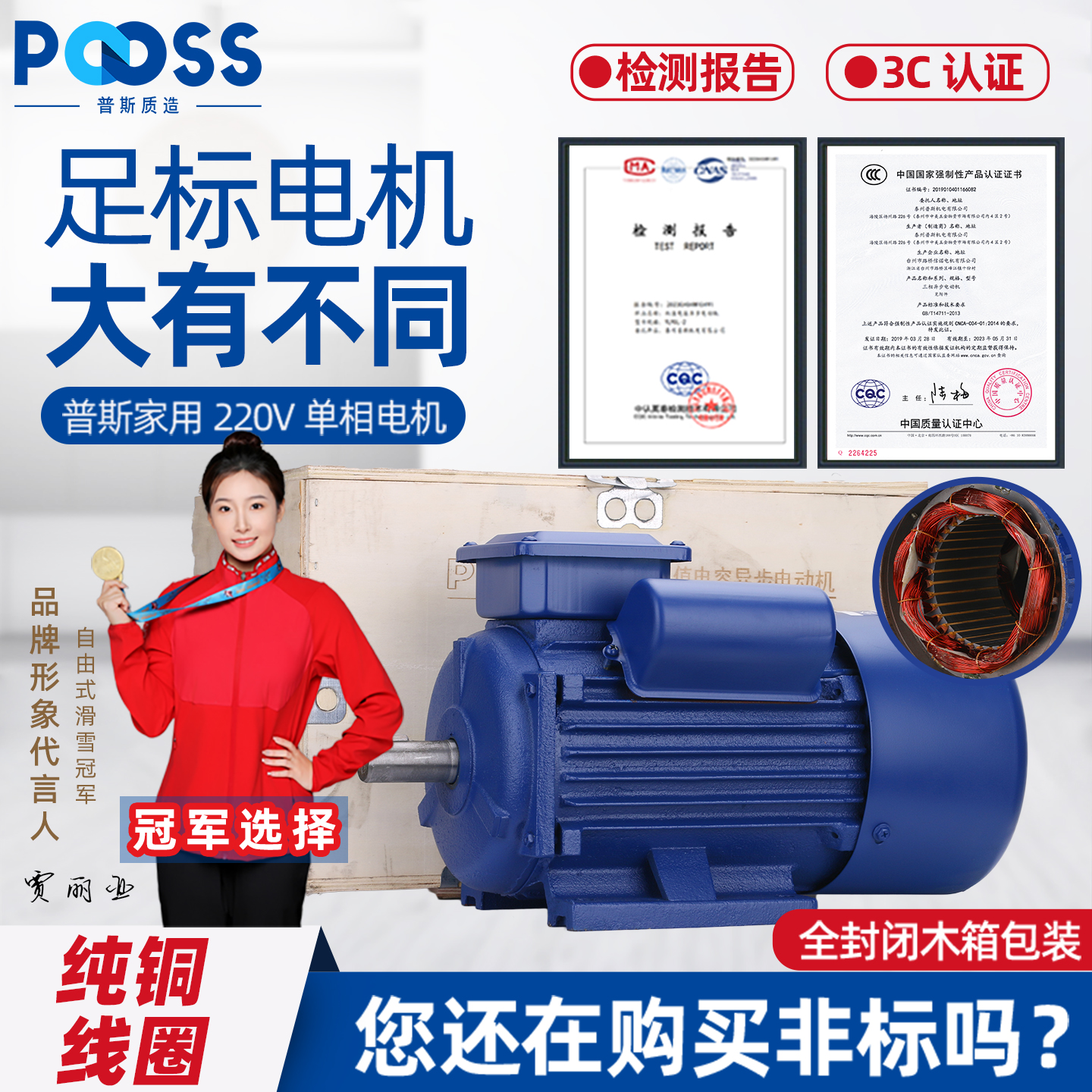 普斯YL家用电机国标功率质量放心