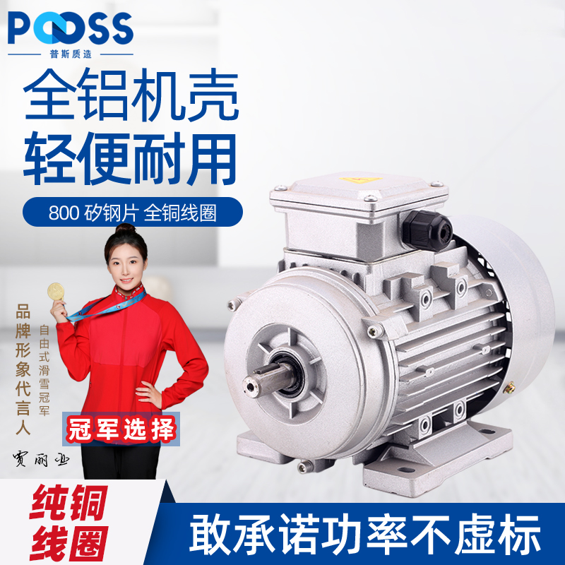普斯YS铝壳电动机全铜国标