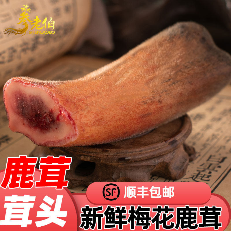 参老伯梅花鲜鹿茸茸头整枝片新鲜带血整只正品血片礼盒泡酒用整根