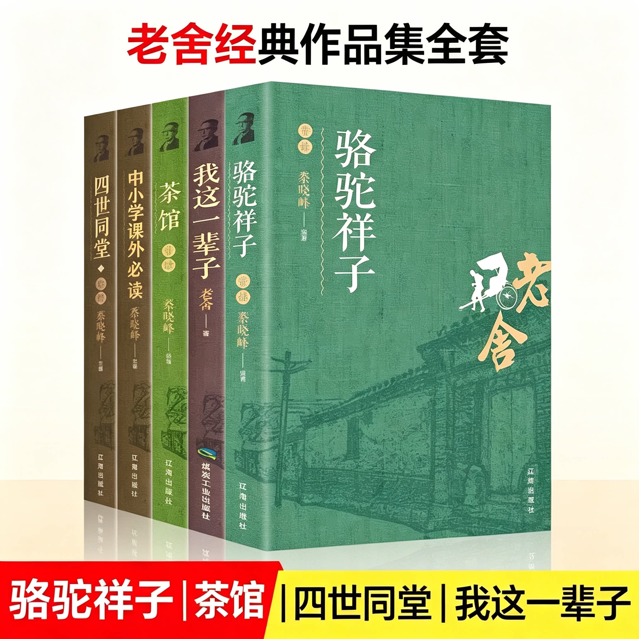 全15册鲁迅全集正版 经典呐喊朝花夕拾故事新编野草故乡狂人日记老舍四世同堂骆驼祥子茶馆鲁迅作品集散文杂文集书籍文学名著
