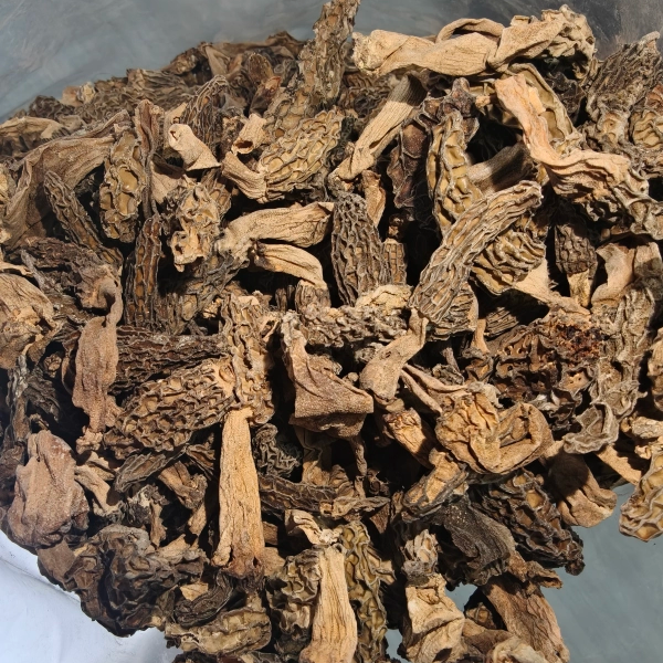 彭水特产 纯野生羊肚菌 干的 煮汤炒肉搭档 一份是2两包邮