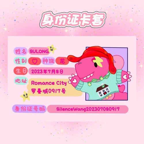 身证件卡套遮挡信息新款