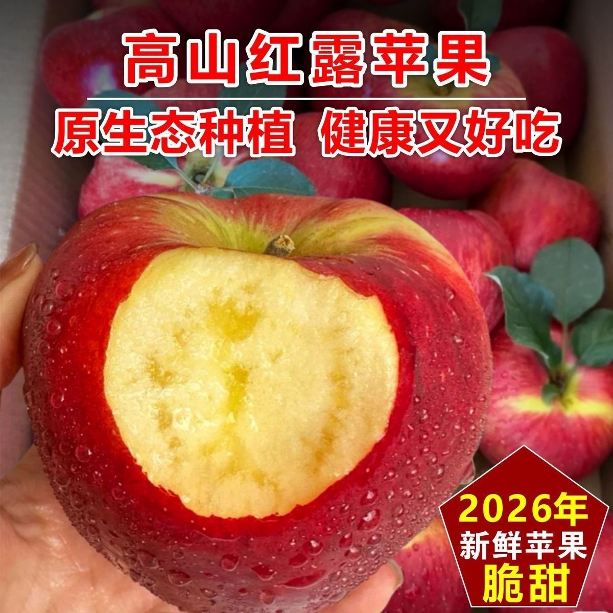 2026昭通红露冰糖心丑苹果礼盒