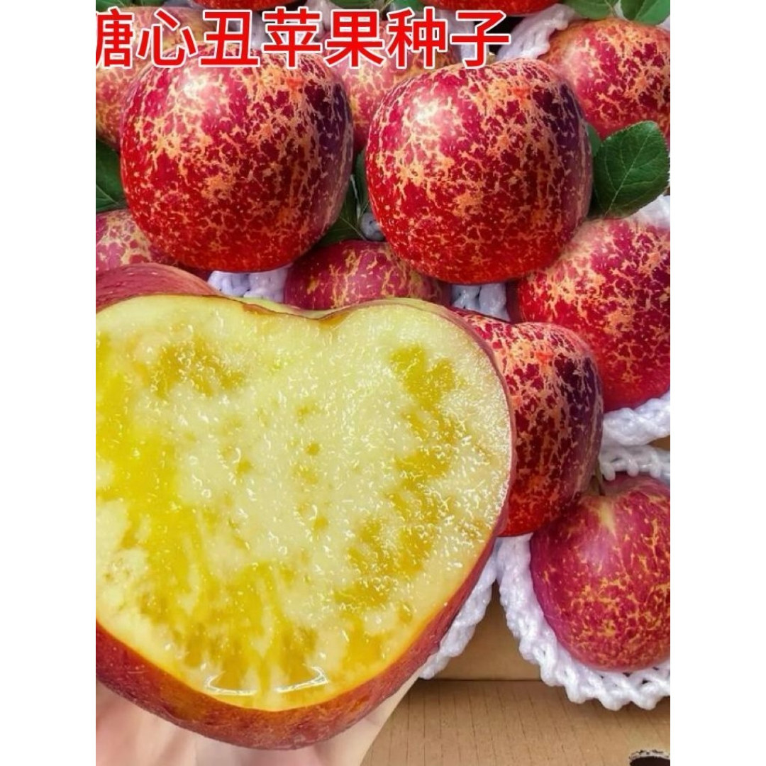 【云南昭通脆甜冰糖心丑苹果】包脆包甜冰糖心丑苹果果园产地直发