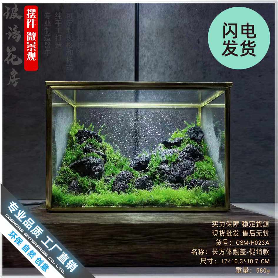 生态瓶青苔微景观盒子玻璃房盆景苔藓微缩森林缸桌面花盆摆件长方