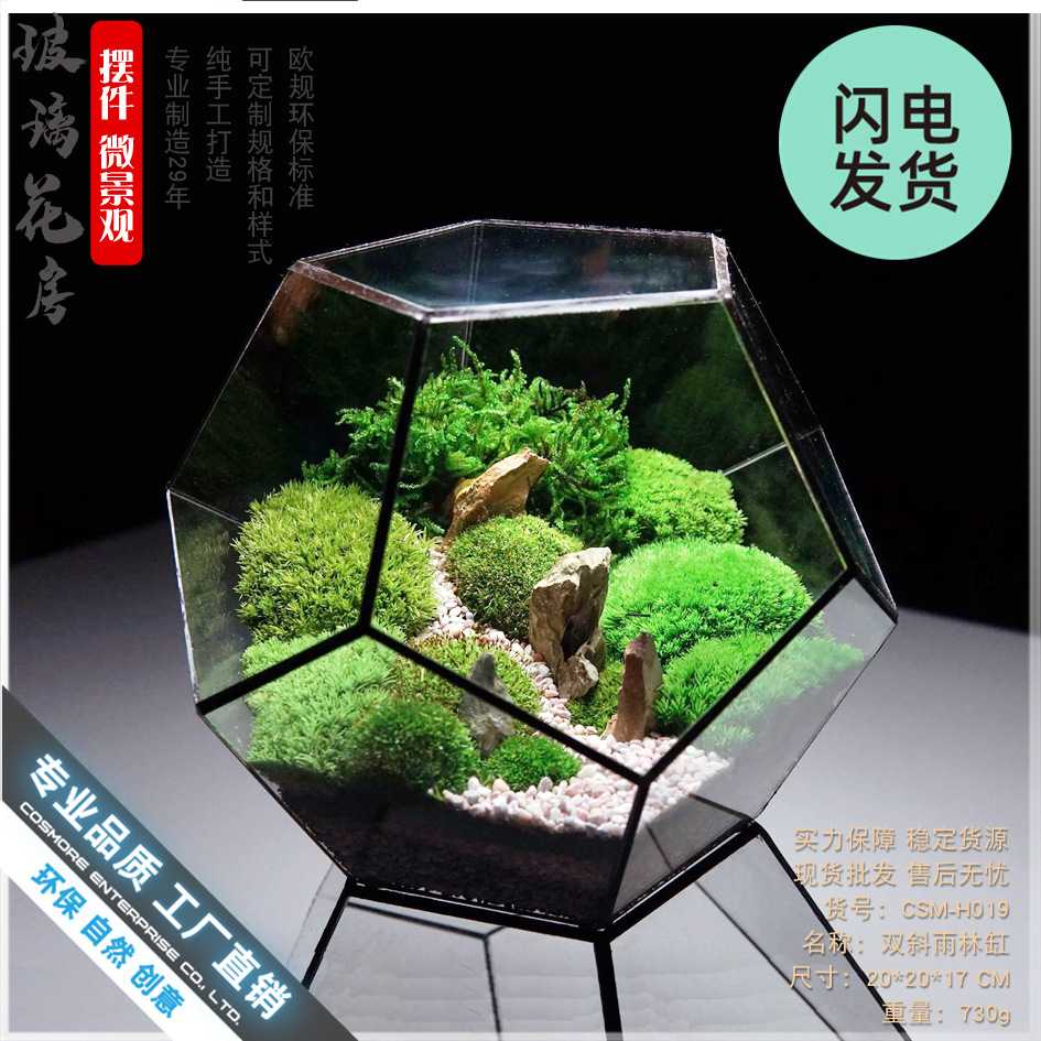 厂家直销爆款十二面体大玻璃花房绿植透明创意苔藓微景观多肉花盆
