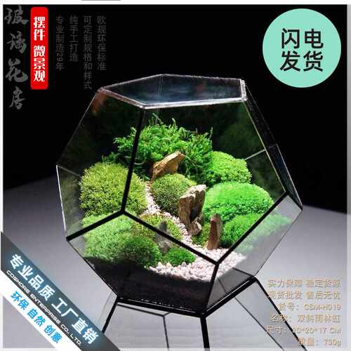 厂家直销爆款十二面体大玻璃花房绿植透明创意苔藓微景观多肉花盆