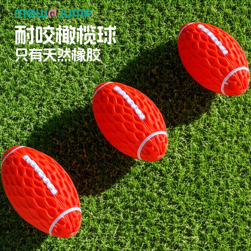 梅花脚狗狗玩具球发声磨牙洁齿