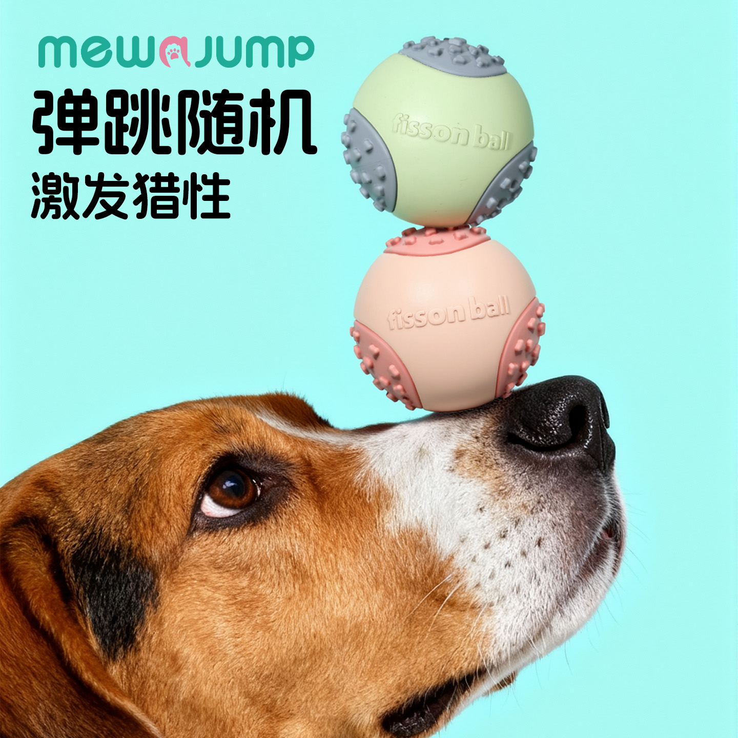 狗狗玩具球发声磨牙中小型犬玩具