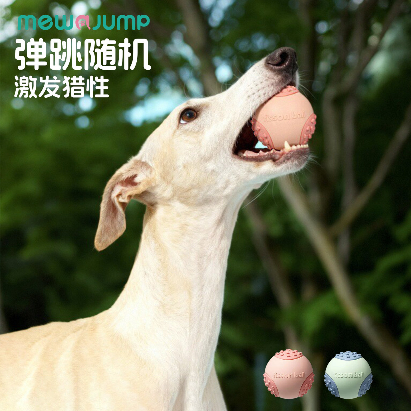 狗狗玩具球发声耐咬磨牙洁齿解闷神器泰迪柯基中小型幼犬宠物玩具