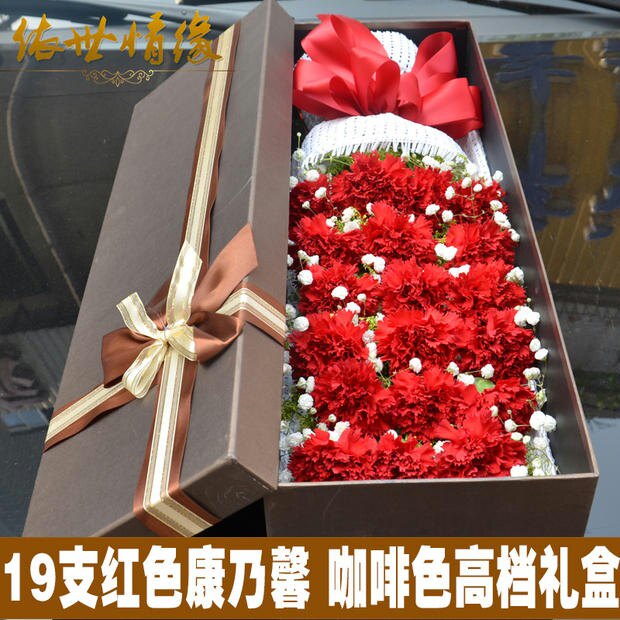 康乃馨天津同城鲜花速递滨海新区塘沽汉沽和平红桥妇女节花店送花