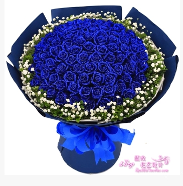生日爱情鲜花蓝玫瑰花束贵阳鲜花同城速递安顺遵义毕节凯里清镇