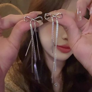 爆款 银色蝴蝶结流苏耳线女2024新款 轻奢高级感冷淡风气质耳钉耳饰