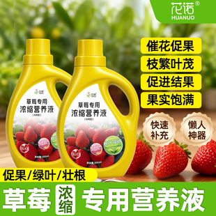 草莓营养液专用肥植物水培家用农家阳台盆栽肥料蔬菜水果绿植通用
