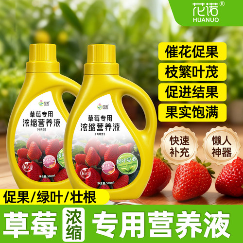 草莓营养液专用肥植物水培家用农家阳台盆栽肥料蔬菜水果绿植通用