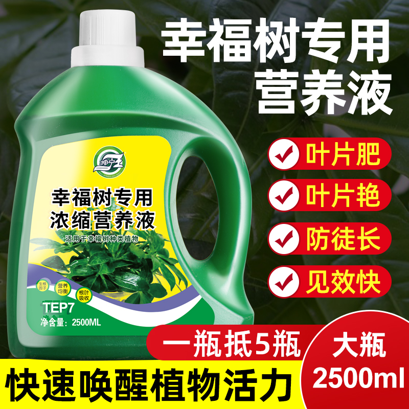 幸福树专用营养液肥料急救治黄叶落叶黑斑防掉叶干枯花肥盆栽液体
