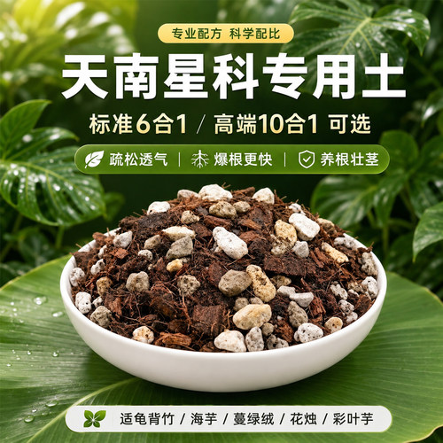 天南星科热植专用龟背竹营养土
