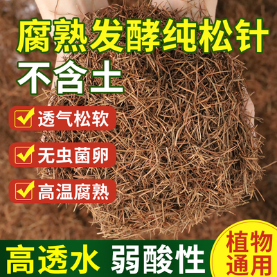 纯松针土兰花橡树叶腐叶腐熟松针多肉君子兰专用天然松针腐殖土