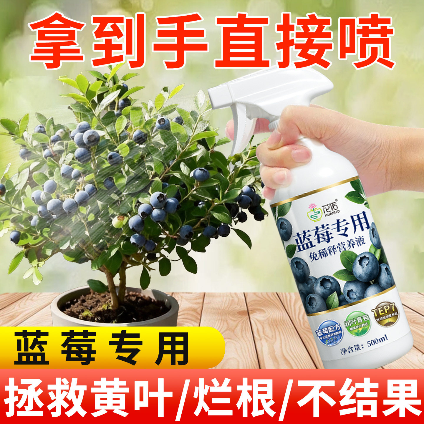 蓝莓专用免稀释营养液促花膨果防黄叶落果家庭园艺盆栽果树通用肥