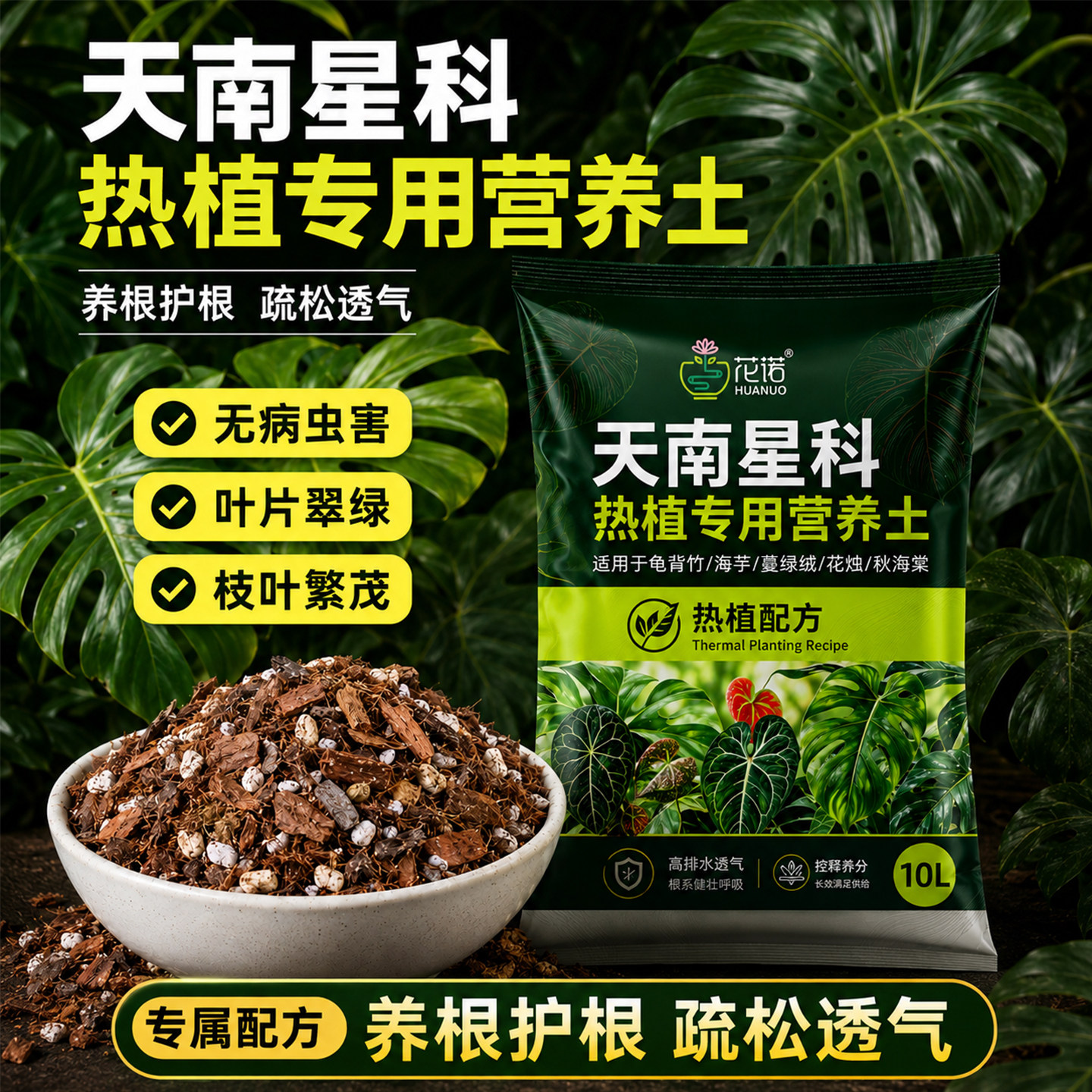 天南星科热植专用龟背竹营养土图片