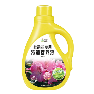 杜鹃花专用营养液叶斑病黄叶黑斑掉叶烂根养护花肥叶面肥料专用肥