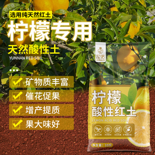 柠檬树专用红土香水柠檬树红土盆栽土壤果树专用土天然酸性种植土