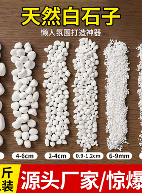 50斤装白色石子石头大鹅卵石庭院铺路铺地小白石头造景景观白石子