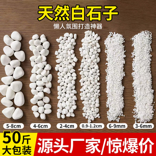 50斤装白色石子石头大鹅卵石庭院铺路铺地小白石头造景景观白石子