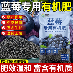蓝莓专用肥有机肥硫酸钾复合肥蓝莓树果苗盆栽酸性缓释肥改善黄叶