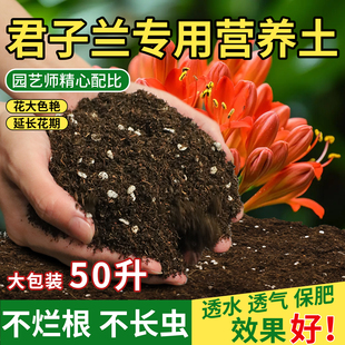 君子兰专用营养土养花通用专用泥炭兰花科土盆栽土专用肥换盆土