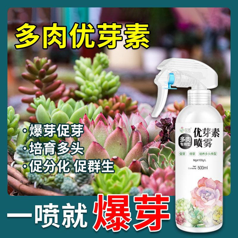 优芽素多肉专用促芽发芽营养液优雅牙肥料素生长素多肉植物爆芽素