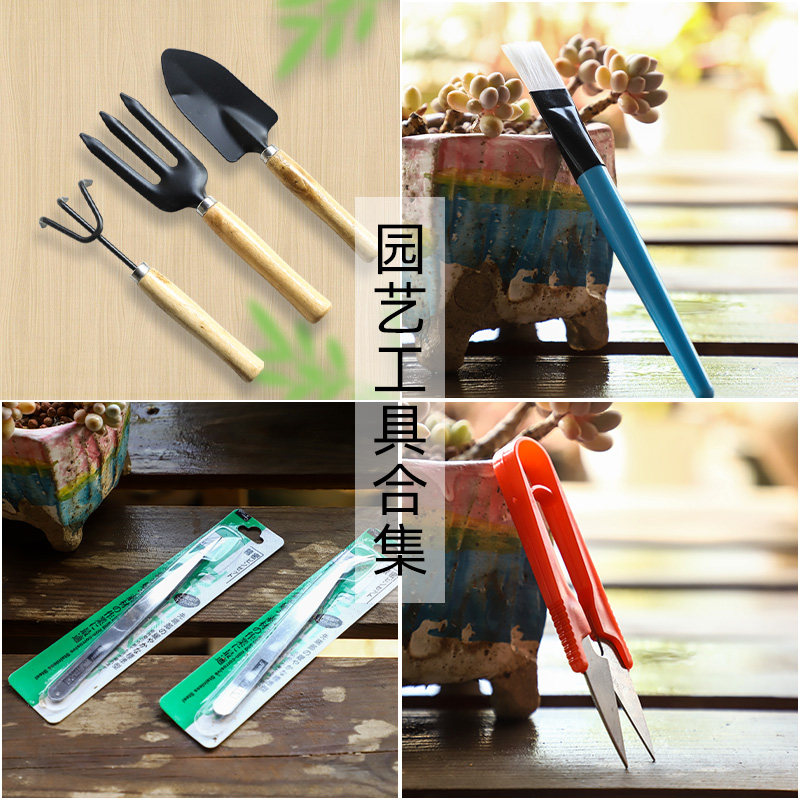 多肉植物专用园艺三件套小铲子塑料桶铲日式滴水壶起苗气吹镊子,鲜花速递/花卉仿真/绿植园艺,铲子,淘宝优惠券,粉丝福利购,淘宝优惠卷