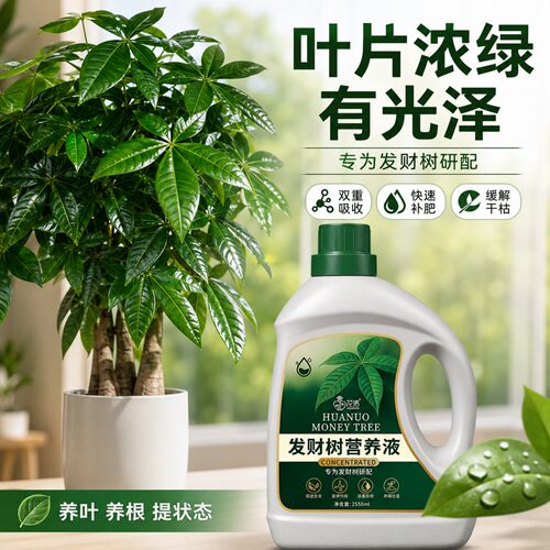 发财树肥料专用肥营养液通用花肥
