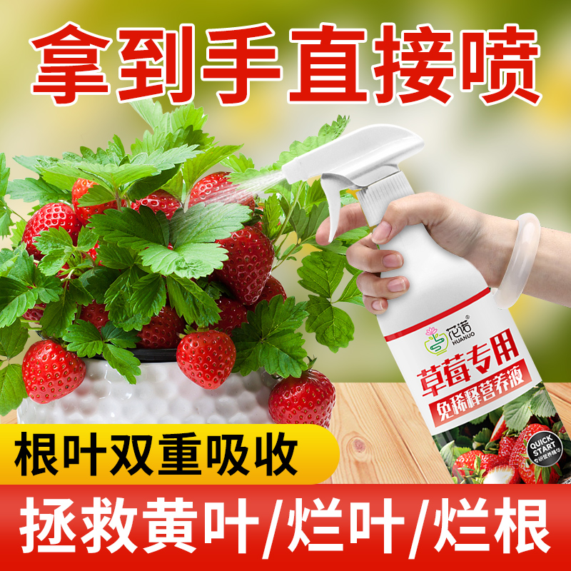 草莓专用营养液草莓肥料专用肥免稀释营养液家用盆栽有机液体肥料