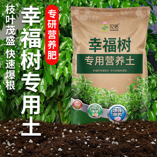 种幸福树专用土营养土养花专用通用土壤幸福树专用肥料泥土种植土