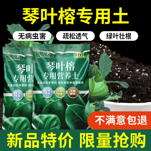 琴叶榕营养土专用土有机疏松透气